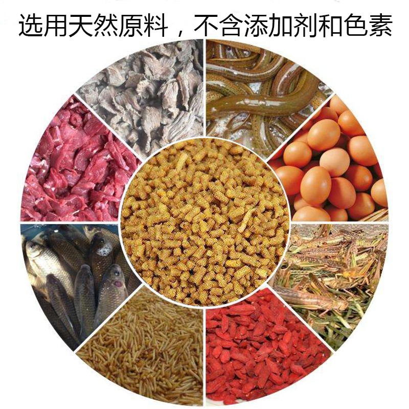 林间雀企业店的LOGO