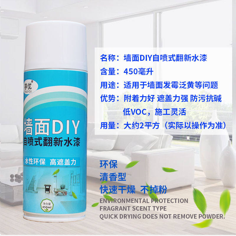 Tonic Wall Lacquered White Interior Wall Repair Wall Graffiti Stains Stains Restoration Home Spray Paint Jar Deviner Retouching Paint