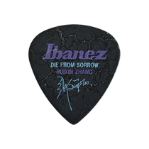 IBanez Yibanna Electric Guitar Plc Nissan Signature Signature KAZUKI LEAF MOON