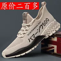 【Одна пара пар】 n500 -метров цвета