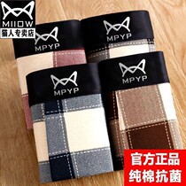 Cat Man Uber Male Underpants Mens Inner Short Pants Pure Cotton Flat Corner Underpants Big Code Mid Waist Underpants Man