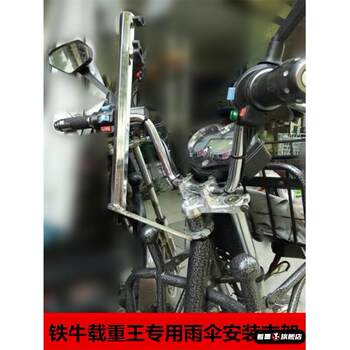 Electric Cargo Bike with Sunshade and Rain Cover for Men