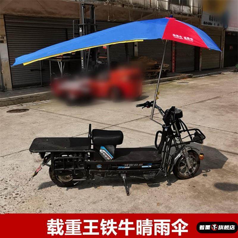 Electric Cargo Bike with Sunshade and Rain Cover for Men