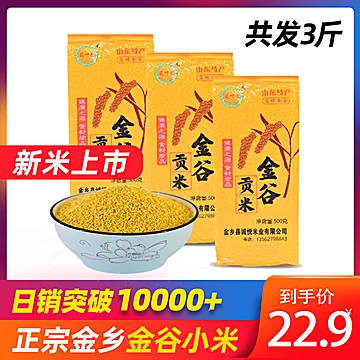 拍3件仅19.9元！山东金乡马庙金谷小米3斤[3元优惠券]-寻折猪