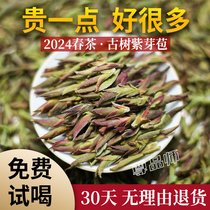 2024 Yunnan Wild Purple Spore Tea Daxue Mountain Alpine Snow Bud Ancient Tree Tea Puer Tea Raw Tea Purple Spore Bud 500g