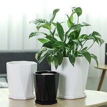 Octagonal flowerpot ceramic succulent with tray one dedicated large pot white large-caliber Nordic style for growing green radishes