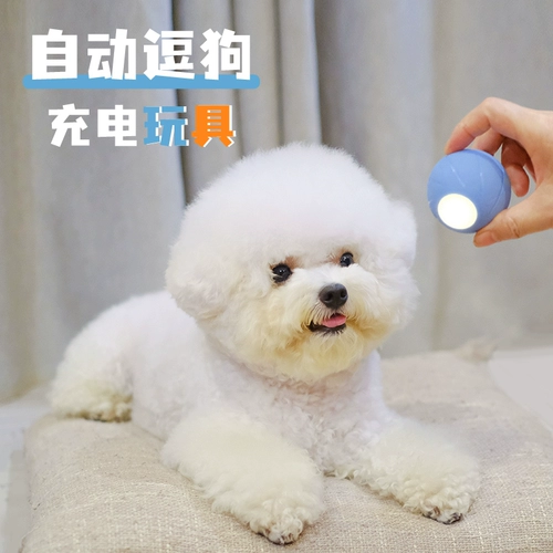 Собачья игрушечная мяч для медведя плюшевая собака Bomei