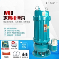 Shanghai Peoples Sewage Pumps Household Small 220v pumps for agricultural irrigation submersible pumps for drainage pumping of manure