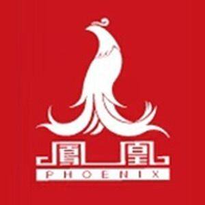上海凤凰牌企业店的LOGO