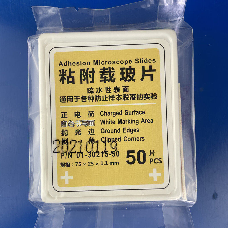Adhesion slide anti - decontaminated slide Positive charge polygloglycine immunometry white frosted HD immunotherapy