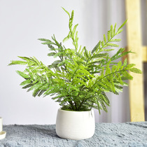 Nordic Living Room Emulation Plant Ferns Green Plant Swaying Pieces Fake Flowers & Ins Wind Decoration Small Potted Desktop Furnishing Creativity