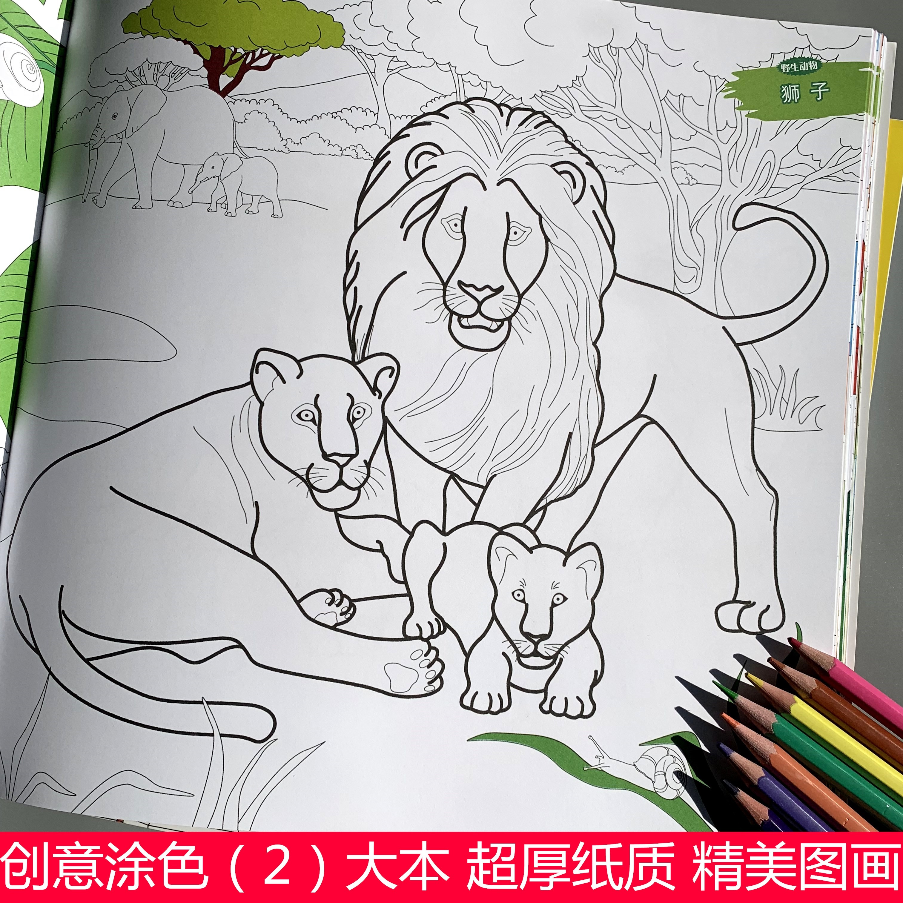 1st grade drawing book learn to draw 7-year-old children fill in graffiti, color, copy and paint the picture book art book creativity