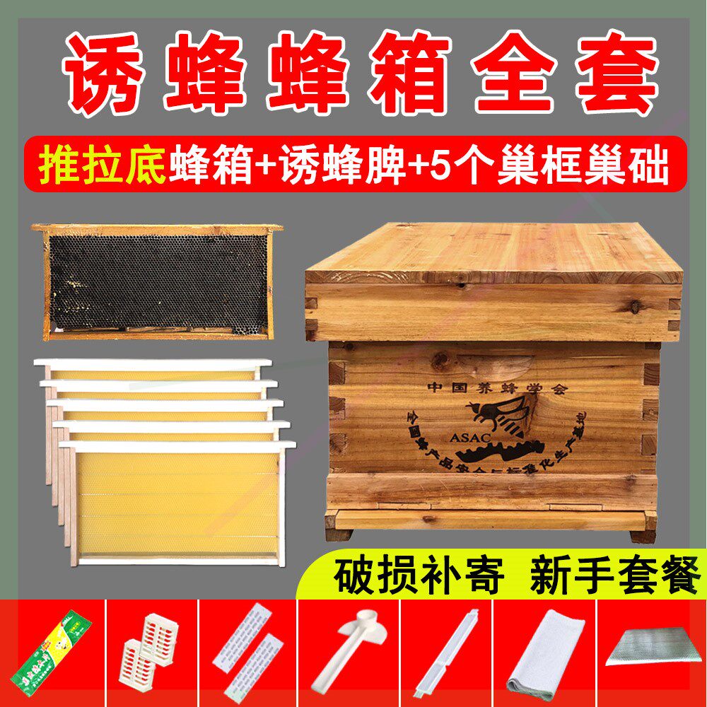 The Wise Bee Workshop Curator AOVO Beehive full of beehives New Hands Beehive Tools Wood Cooking Wax With Frame Nest Beehive box 6