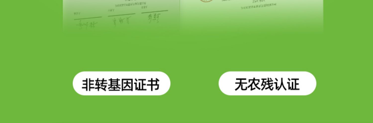 【10根】新鲜东北甜糯黄玉米真空包装