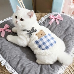 Cat Clothes Autumn and Winter Style Pocket Bear Hoodie Ragdoll British Shorthair Silver Shaded Bichon Teddy Puppy Warm Vest