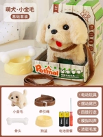 Золотой ретривер [Color House+Dog Basin+Bone+Traction Covet]