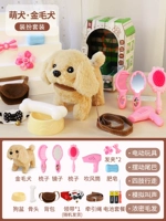 Хижина, аксессуар, домашний питомец, наряжаться