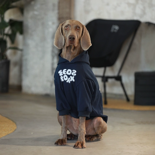 Собачья одежда осень Большая собачья одежда Антиспонизы