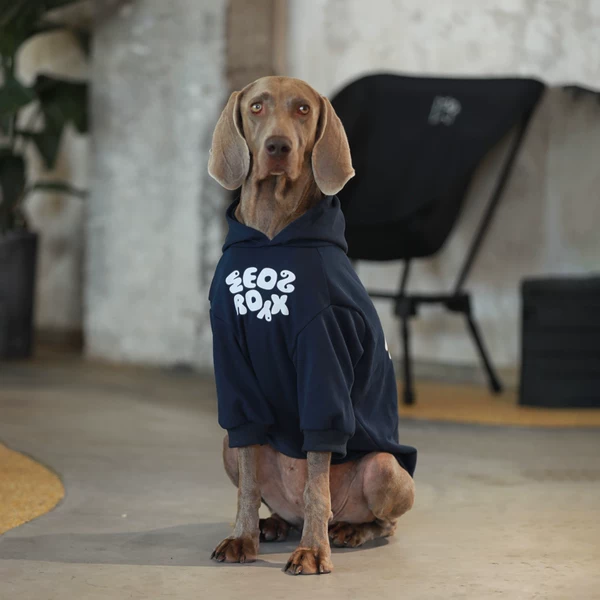 Товары от margar私宠高定