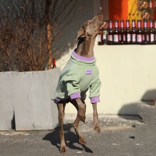 Собачья одежда зима большая собака теплый лабрадор локоть одежда золотой ретривер модный интернет -знаменитый собака Зимняя одежда зимняя одежда