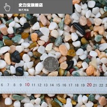 Creaty colorful multi-gravel multi-meat paving stone potted surface stone fish tank made colored stone decorated with small stone pebble white new