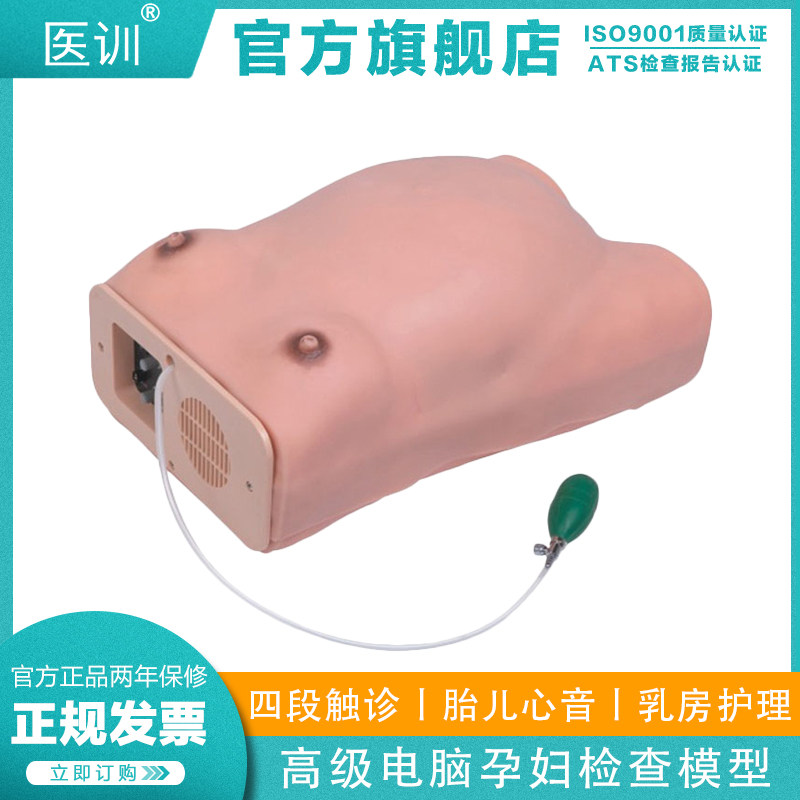 医训 YX/W高级电脑孕妇检查模型 产检模型产妇检查模拟模型 妇科检查模型