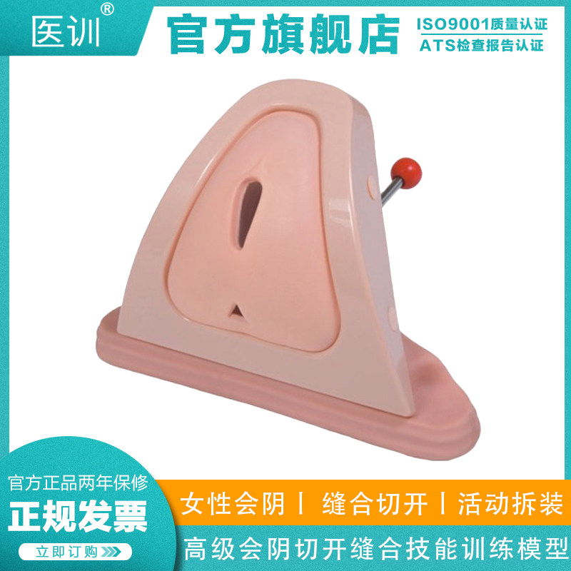 医训 YX/H1高级会阴切开缝合技能训练模型切开练习缝合练习女性会阴解剖结构模型