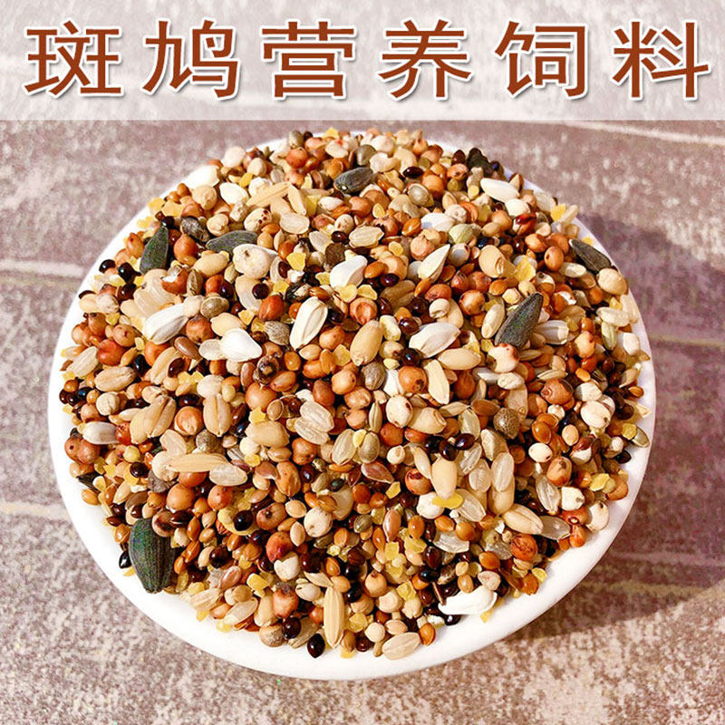 Pigeon food feed pigeon feed no corn pigeon grain pigeon pigeon pigeon pigeon dove dove dove dove grain pigeon grain grain grain grain