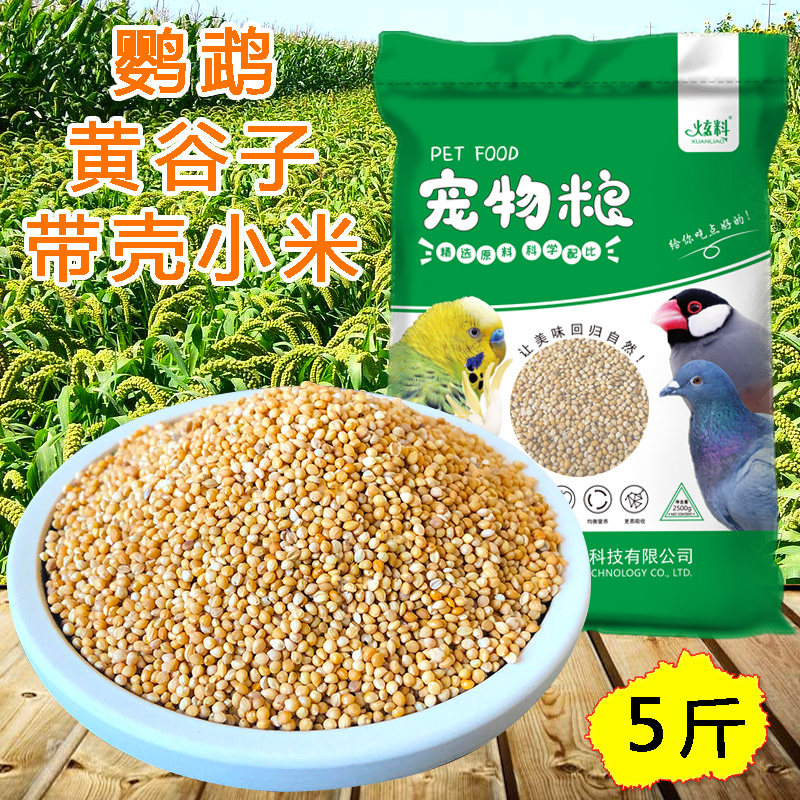 Hyun material budgerigar bird food feed yellow millet bird food yellow millet Hengban chicken feed shell bird food new grain