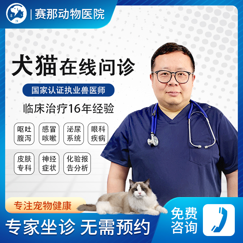 Pet consultation online consultation professional physician 24 hours online reply
