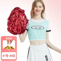 Бутик средний порошок большой красный