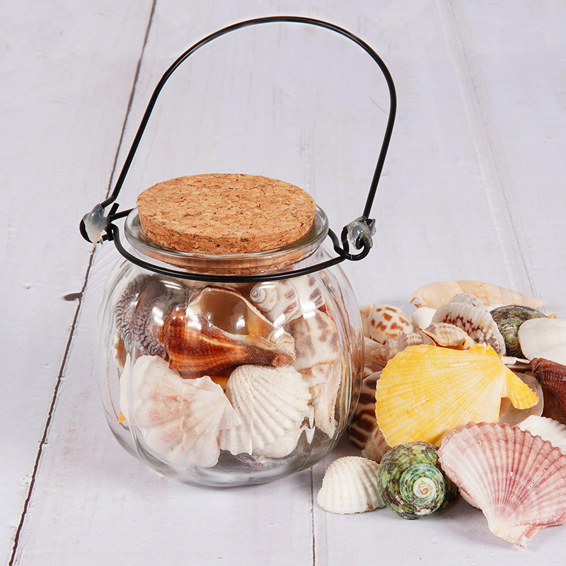 Ocean World Sea's Gift Natural Sea Snail Shells Pumpkin Bottle Decoration Pendulum Pendant Pendant Handiwork Gift-Taobao