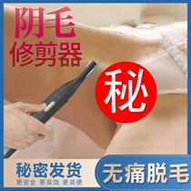 Pubic delivery knife trim male and female scrum anal axillary legs hand-raised eyebrow electric full body hair private permalink