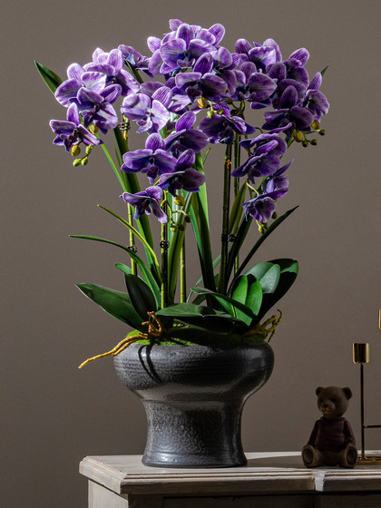 High-Quality Artificial Phalaenopsis Orchids, High-End Living Room and Dining Table Floral Arrangements, Potted Plant Decorations