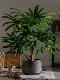 Artificial Palm Tree, Fake Green Plant Decoration, Bionic Indoor Living Room Window Display, Floor-Standing Potted Plant