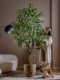 High-End Artificial Banyan Tree, Large High-Quality Simulated Green Plant for Landscaping and Decoration, Living Room Faux Tree, Light Luxury Floor-Standing Ornament Plant