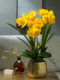 Light Luxury High-End Artificial Butterfly Orchid Floral Arrangement Plastic Bionic Fake Flower Vase Decoration Living Room Ornament