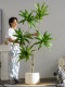 Artificial Brazilian Ironwood Large Potted Plant for Living Room, Faux Tree for Landscaping, Large Indoor High-End Decorative Ornament