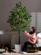 High-End Artificial Banyan Tree, Large High-Quality Simulated Green Plant for Landscaping and Decoration, Living Room Faux Tree, Light Luxury Floor-Standing Ornament Plant