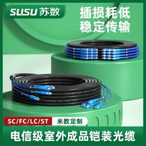 Su Shu GYXTW outdoor finished armored optical cable single-mode outdoor aerial optical cable outdoor monitoring optical cable without splicing 2-core 4-core 6-core 8-core 12-core household customizable optical fiber single-mode light armor