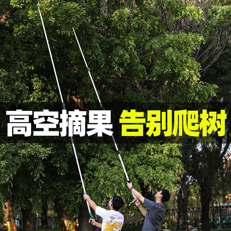 Fruit Artificial Loquat Cherry Long Eye Lichen Fruit Pictor High Chip Shipping Ship