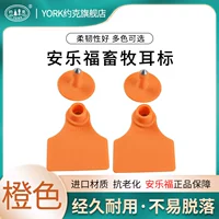 Orange Non -word 100 платеж