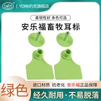 Зеленое не -слова 100 платеж