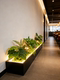 High-End Simulated Artificial Green Plants for Interior Decoration, Luxurious and Realistic Floor-Standing Plant Displays