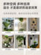 Tropical ball plant landscaping suspended ceiling decoration pendant simulated green plant moss ball indoor landscape window display
