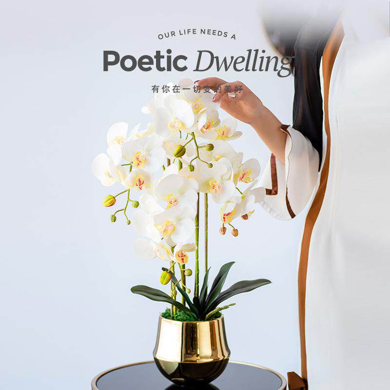 Decorative painting hanging living room meter box non-perforated power distribution switch to block artificial flower bonsai Phalaenopsis feel false total