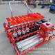 Greenhouse leek yl-bzj fine sowing machine, snow red and blue flower high on demand machine, no-cooked land, millet and millet west essence