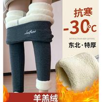 Glint Bottom Pants Woman Autumn Winter Paragraph Outside Wearing Thickened Cotton Pants Suede Pants Big Code Special Thick Lamb Suede Warm Pants Fur Autumn Pants