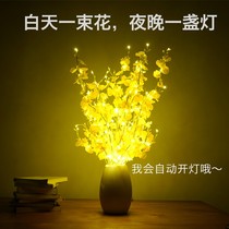 Bedroom Light Romantic with flirts with headlights Nightlight Lovers Bed headlights Girl Girl Nets Red Cute