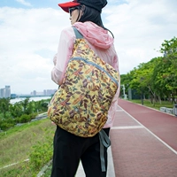 Сосна фрукты